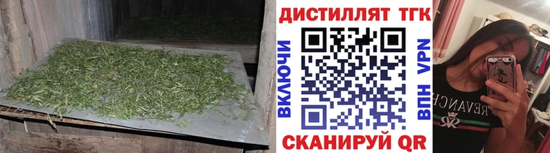 блэк спрут как зайти  Томари  ТГК вейп 